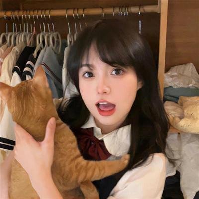 小马的山村日记